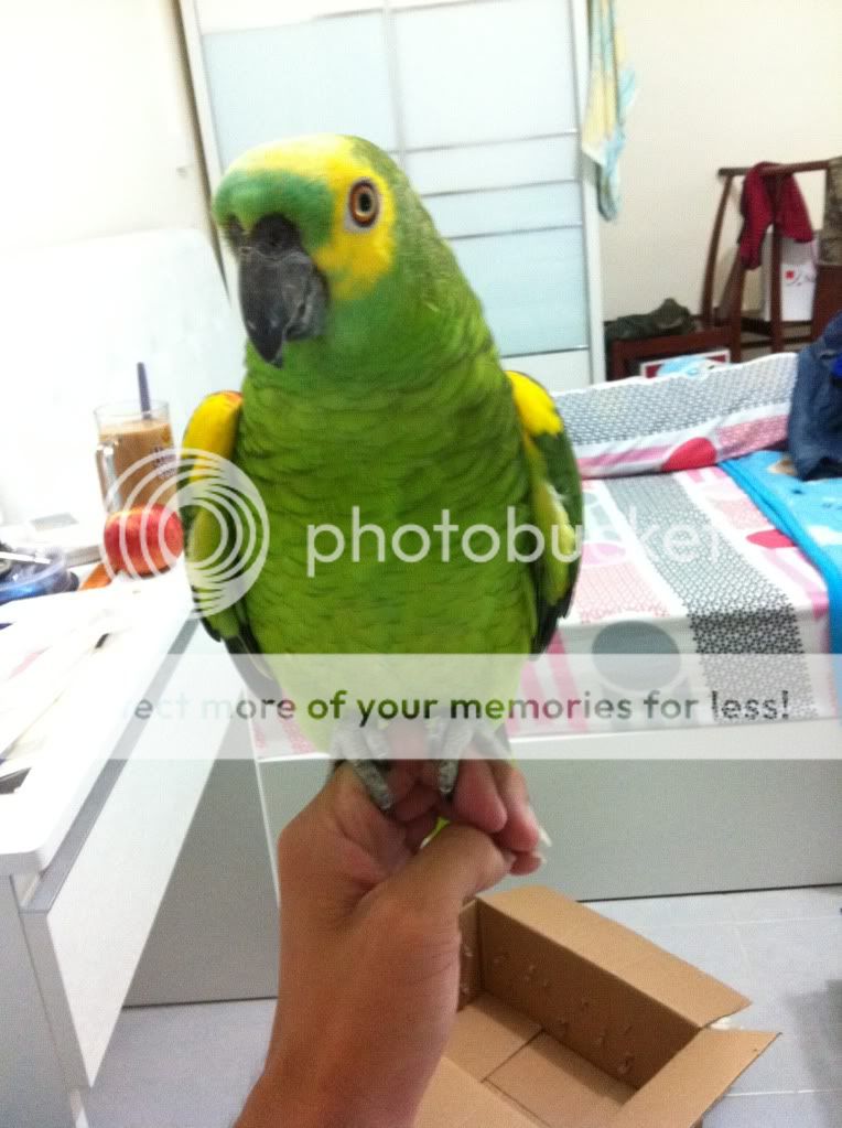 Posted Image