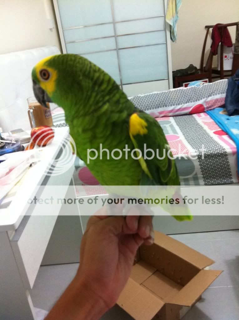 Posted Image