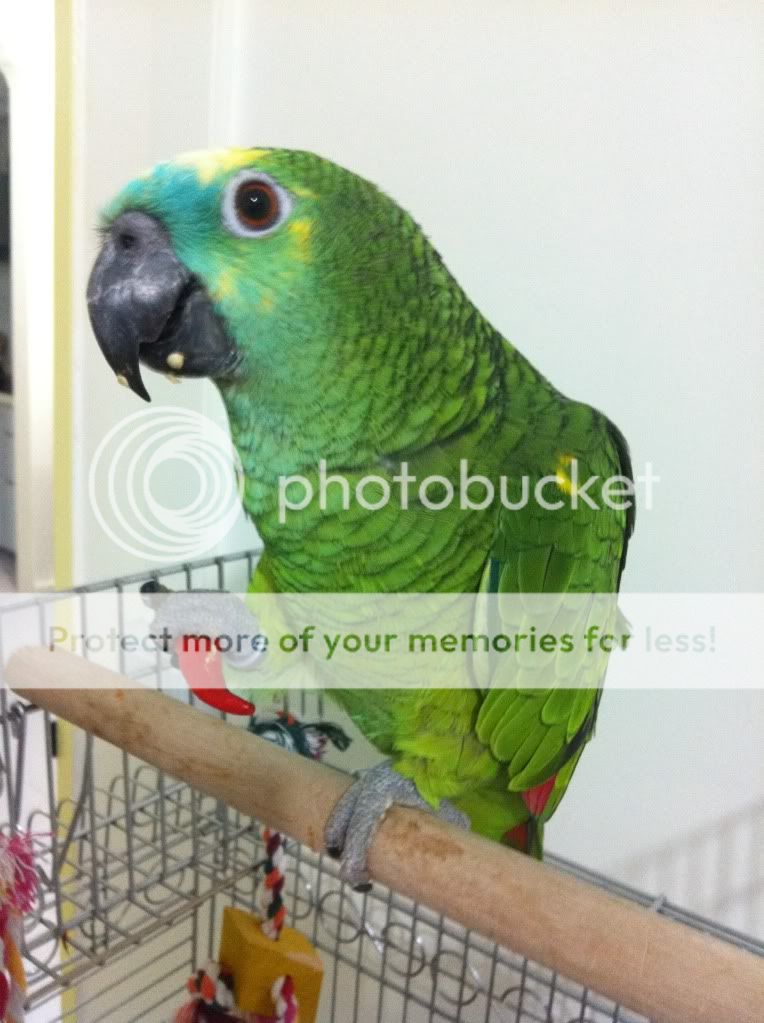Posted Image