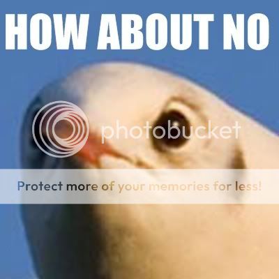 HowAboutNO.jpg