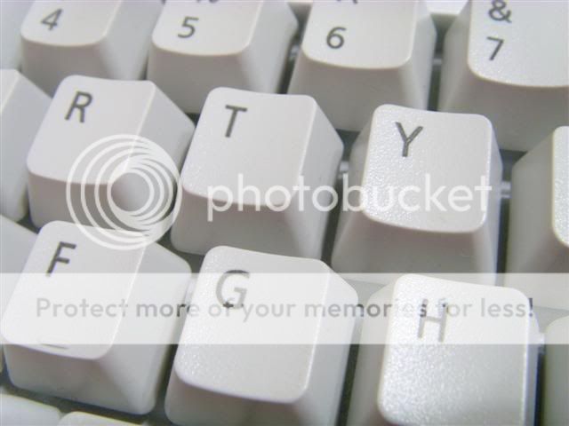 ST831006.jpg