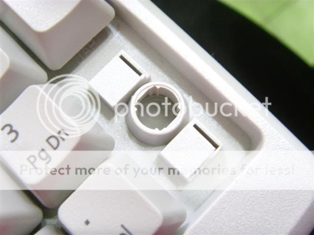 ST831013.jpg