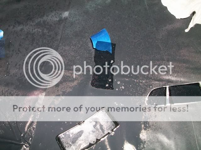 Posted Image