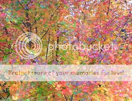 itudewa.Net agen judi poker domino qq ceme on line indonesia 