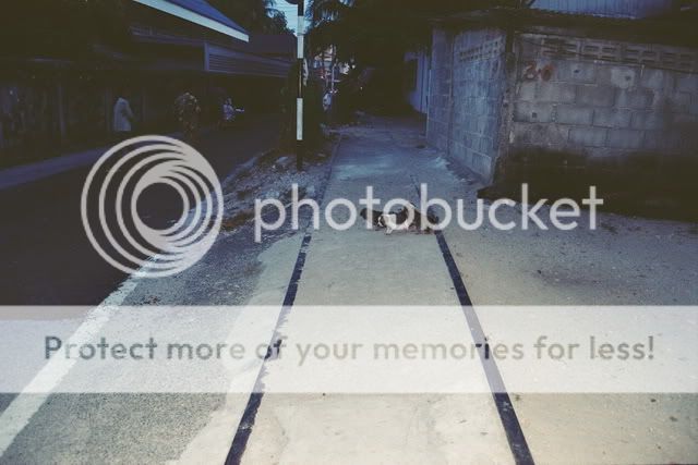 Click on the image for full size