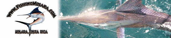 FishingNosara.com