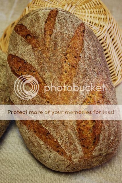 Flaxseed Rye | The Fresh Loaf