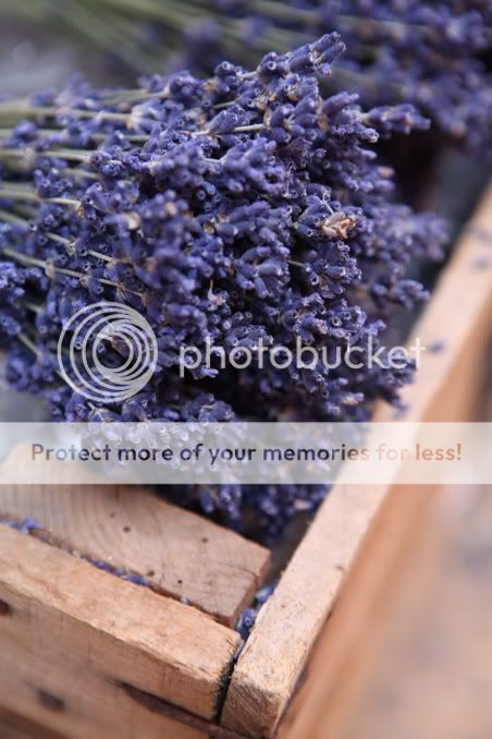 Photobucket Pictures, Images and Photos