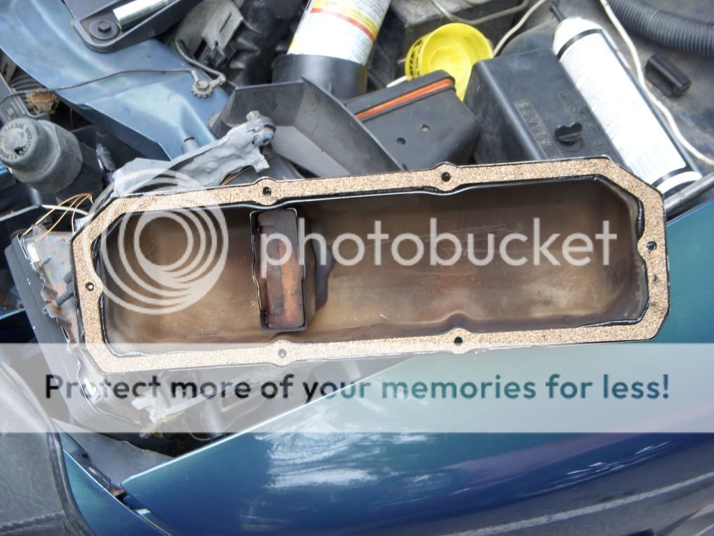 Oil Leak 95 firebird 3.4l v6 Firebird Nation