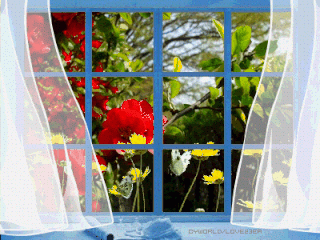 photo f2c6951dceaf3a1bbc319e7e3279239c_zpskuepbkc4.gif