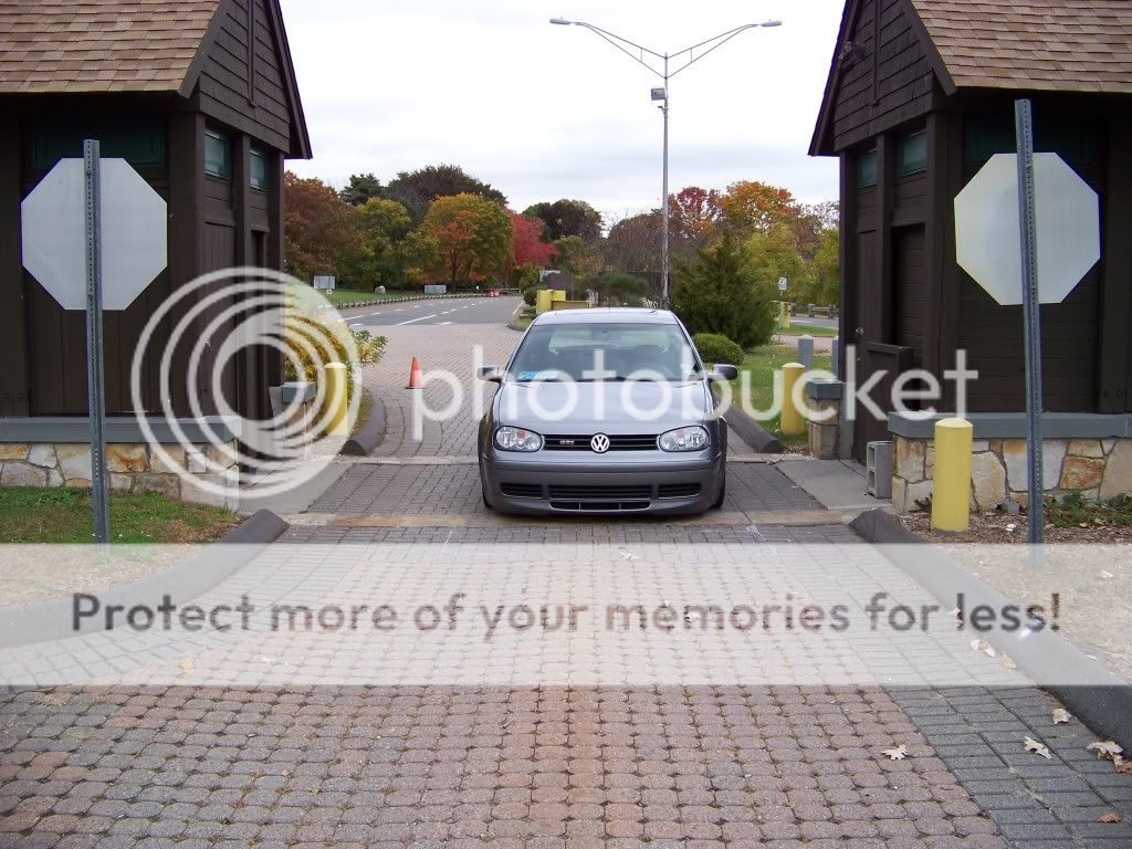 Vwvortex Com