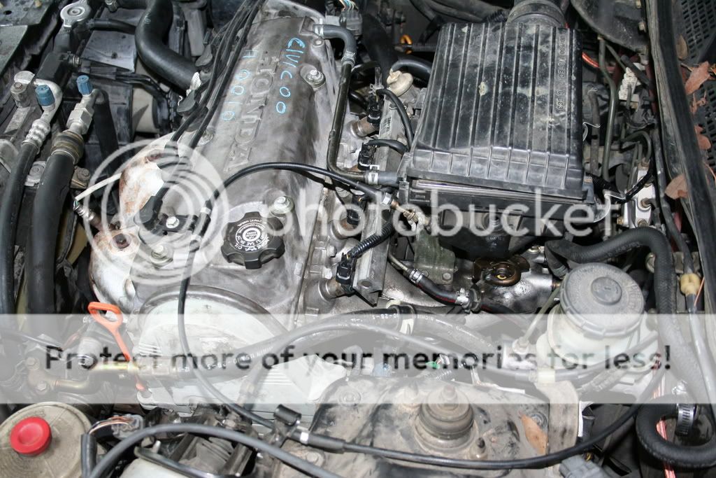 Engine swap - 1996 Honda Civic to "2000" Civic motor (ID'ing the